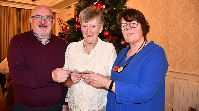 Skibbereen Active Retirement and Social Club Image