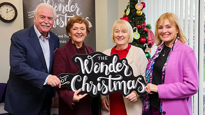SVP calls for public support this Christmas as more than 250,000 calls for help are expected Image