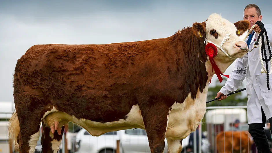 Drimoleague breeder goes the full distance, in the ring and on the track Image