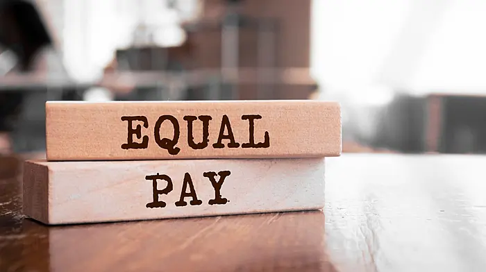 Cork County Council equal for gender pay Image