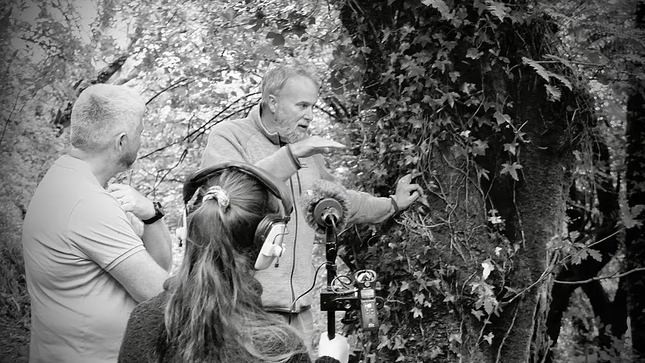 Woodland whispers trail in Leap Image