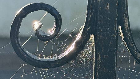 Reader’s Picture of the Week Image