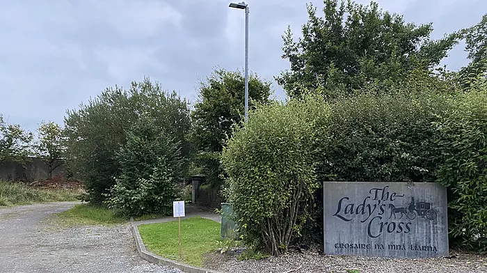 Permission granted for development of 246 houses at Cloheen, Clonakilty Image