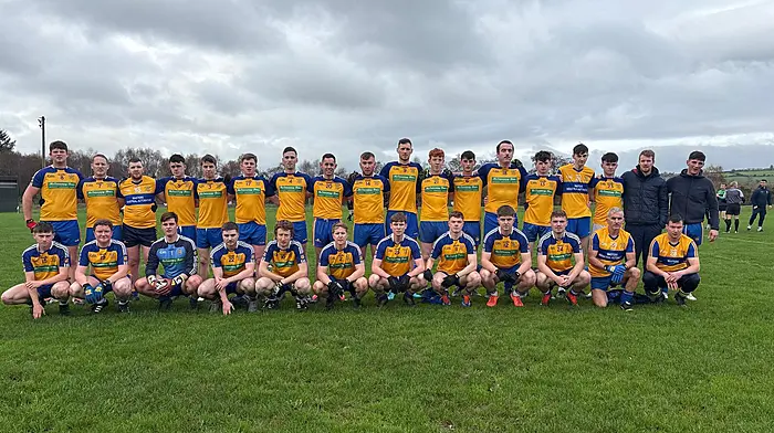 Ballincollig and Kilmichael celebrate Muskerry success Image