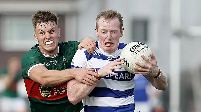 JOHN HAYES: Draws made for 2026 county championships, but who will emerge to shake up The Big Three? Image