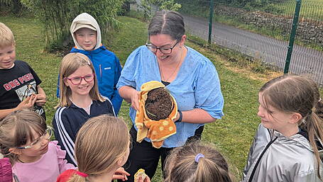 School with 19 pupils leading climate ethos Image