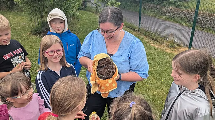 School with 19 pupils leading climate ethos Image