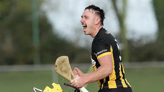 Kilbrittain success is huge boost to hurling in Carbery Image