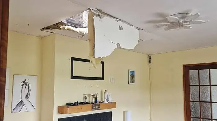 ‘Mini tornado’ tears roof off garden shed as Storm Bram batters coast Image