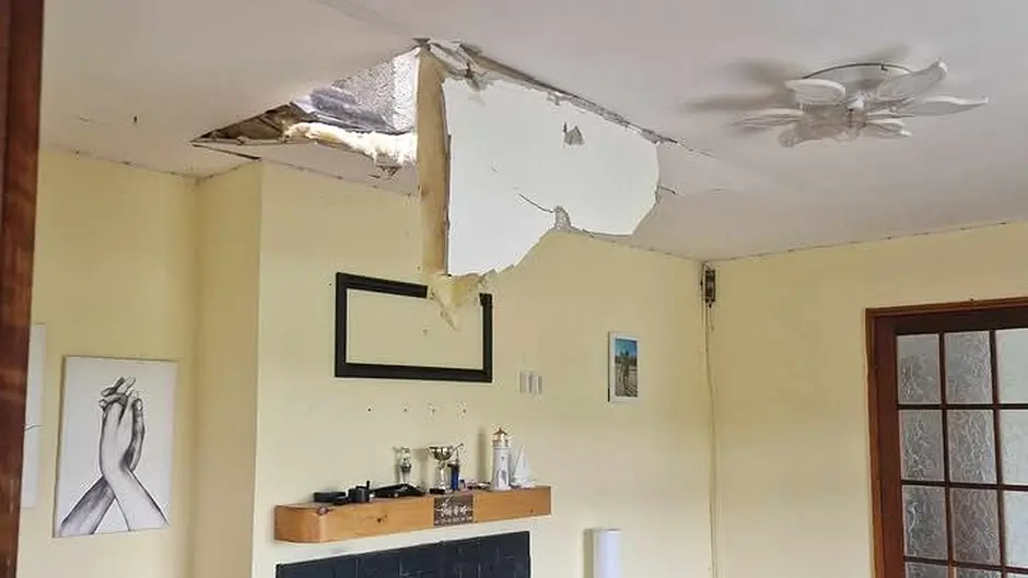 ‘Mini tornado’ tears roof off garden shed as Storm Bram batters coast Image