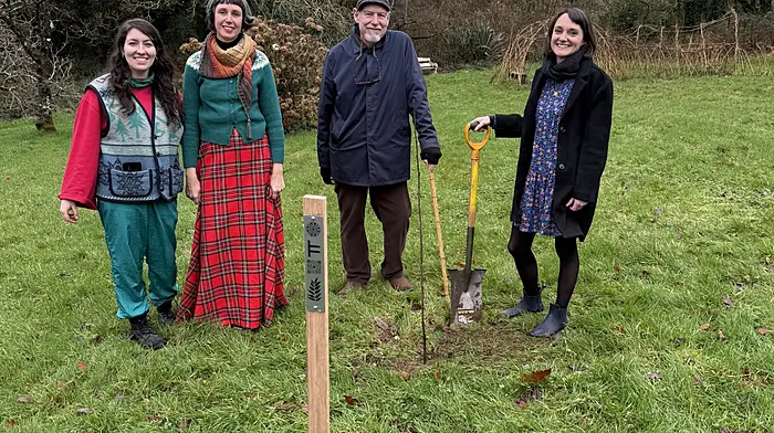 Artist Hazel Hurley, CECASmanager Ana Ospina, artist David Bickley and Cllr Isobel Towse at the launch of the 'Whispers from the Celtic Grove' art commission at CECAS on Sunday. Cllr Towse planted a rowan tree which marks the start of the new audio trail, which will be open to the public year-round. The project was funded by the Peatlands and Natura Community Engagement Scheme via NPWS.