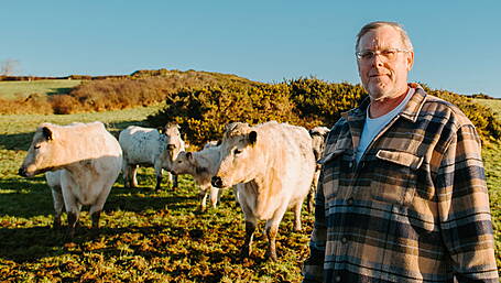 Knockanoulty farmer looks to the future with Droimeann purebreds Image
