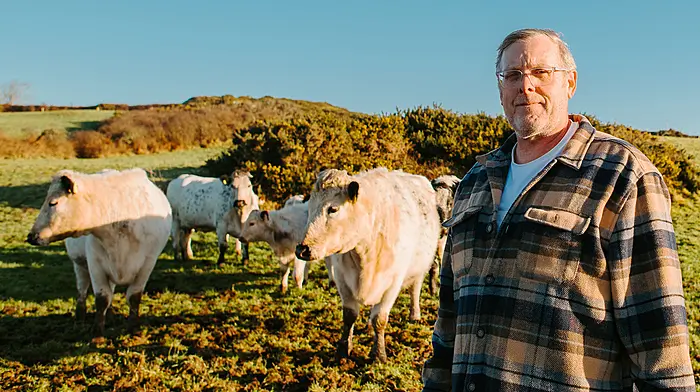 Knockanoulty farmer looks to the future with Droimeann purebreds Image