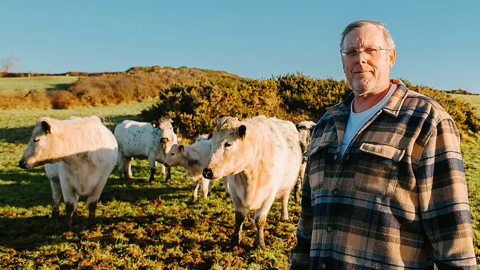 Knockanoulty farmer looks to the future with Droimeann purebreds Image