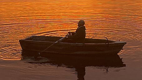 Reader’s Picture of the Week Image