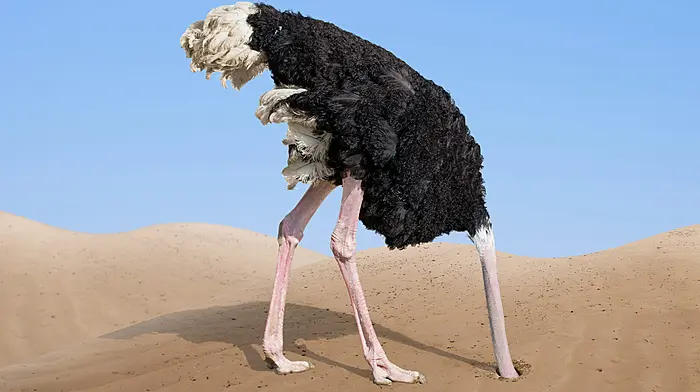 YOUR MENTAL HEALTH: What happens when facts feel threatening Image