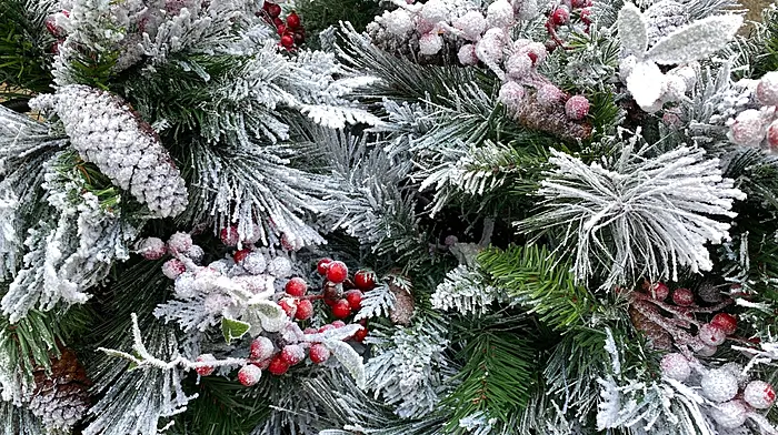 Christmas Frost - a poem by Mary McCarthy Image