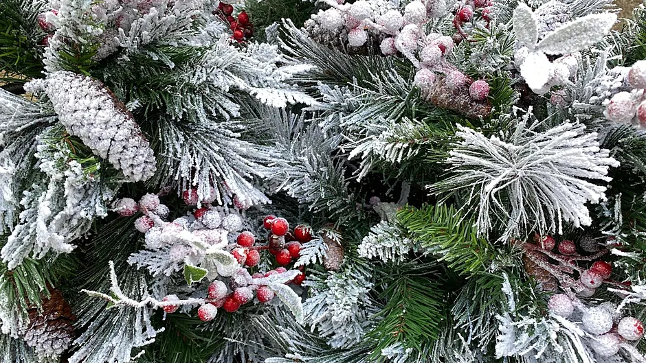 Christmas Frost - a poem by Mary McCarthy Image