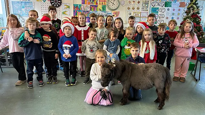 Glandore’s littlest helper: Honey plays Rudolph for a day Image