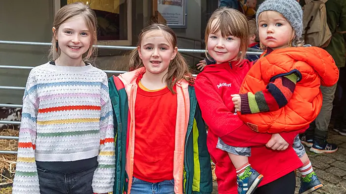 May Donovan, Kim Wickham, Annie Young and Fiach Wickham, all from Bantry at the Live Crib over the weekend (Photo: Andy Gibson)