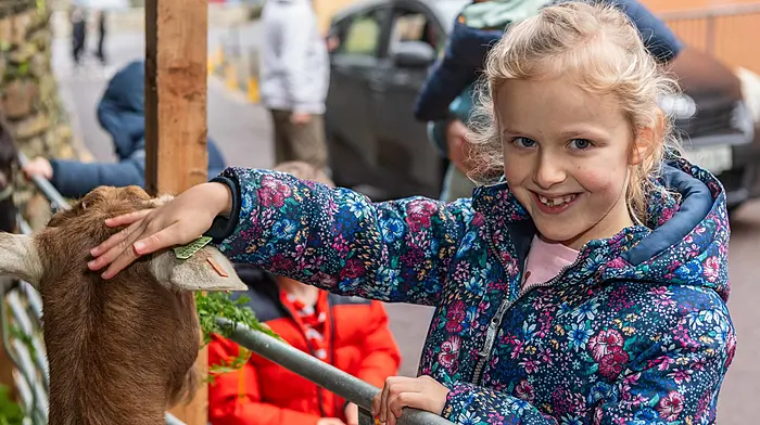 Bantry, West Cork, Ireland. 21st Dec, 2025. Bantry Christian Fellowship Church held a live crib event today. Sheep, goats, a donkey, calves, ducks and hens all made an appearance. Enjoying petting a goat was Ayda Ross from Drimoleague. Picture: Andy Gibson.