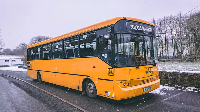Doubling school bus fee is an 'attack on vulnerable families' Image