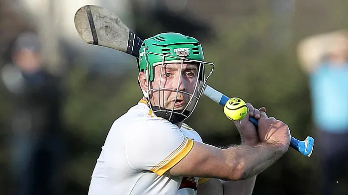 HURLING LEAGUE ROUND-UP: Bandon move joint second in Division 3 Image