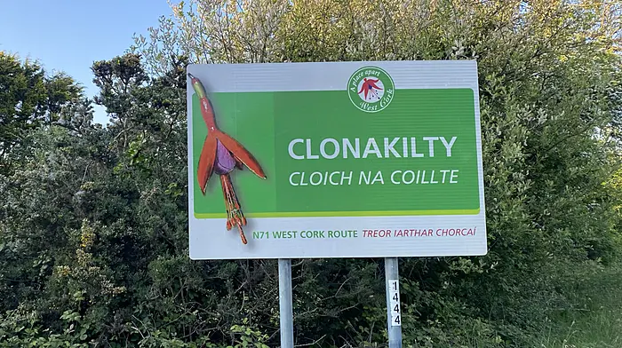 Builder wins appeal over 246 homes in Clonakilty Image