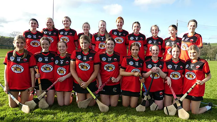 History is made as Ballinascarthy’s second adult camogie team makes debut Image