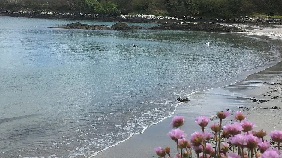 Ballyrisode property sale raises concerns over public beach access Image