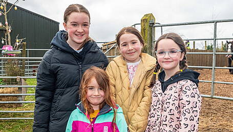 Out and About in West Cork Image