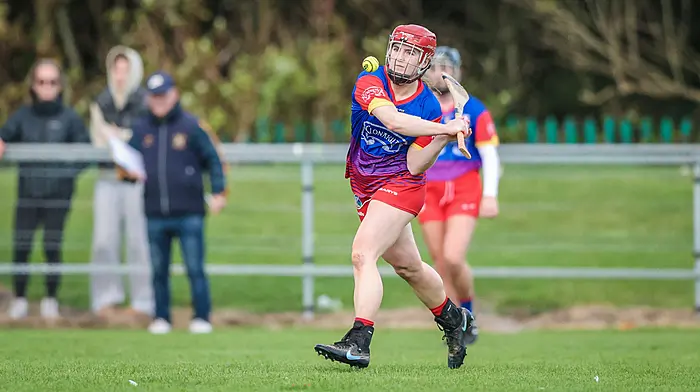 Carbery setback as divisional teams ruled out of Cork senior camogie championship Image