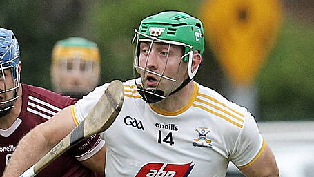 Check out this weekend's county hurling league fixtures Image