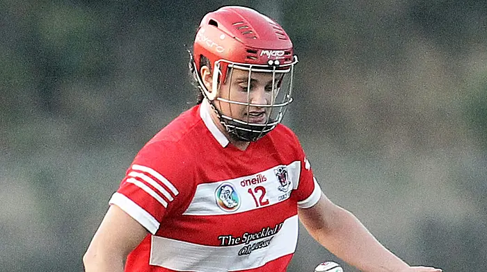 CAMOGIE ROUND-UP: Courcey Rovers off to fast start as Cork camogie leagues throw-in Image
