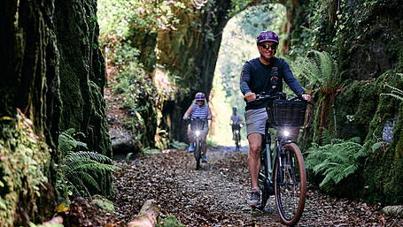 Fáilte Ireland getting proactive to promote activity tourist trail Image