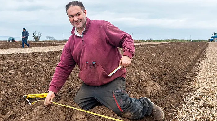 Cyril Maguire from Leap measuring his plot at the Timoleague Ploughing Association’s annual ploughing match which was held on the lands of the Sexton family in Courtmacsherry.  (Photo: Andy Gibson)