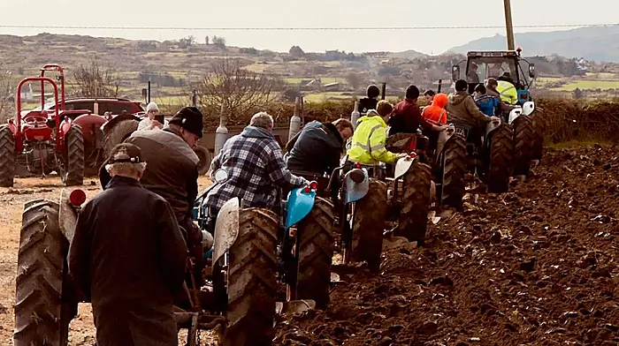 Some Rath Vintage Club members recently helped out with ploughing in Knockeencon, near Lough Hyne. The tractors in the photo are all Fords and are lined up by age.  Photo courtesy of  Youen Jacob.