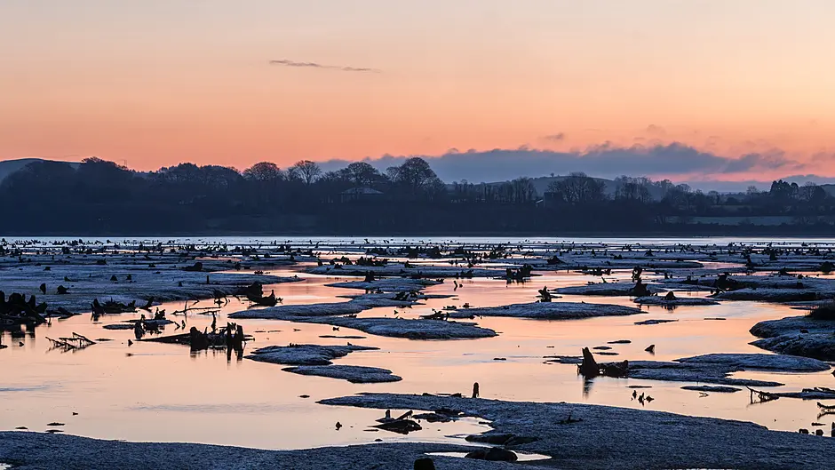 Greenway could transform unique Gearagh boosting tourism in Macroom and Muskerry Image