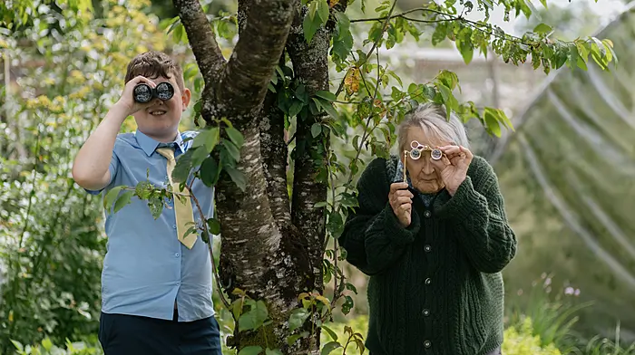 Dylan’s acting debut in award-winning feature Image