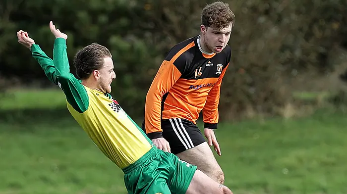 Fintan Barrett: This season has been a success for Ardfield, but we want more Image