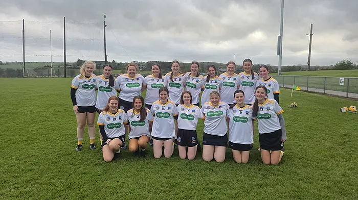 GAA CLUB NOTES: Bandon Camogie sport new jerseys in county league victory Image
