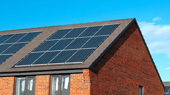 KNOW YOUR RIGHTS: Grants for home solar panels Image
