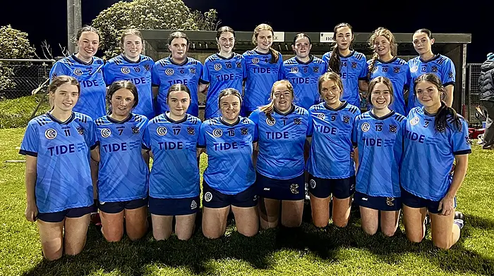 CAMOGIE LEAGUE ROUND-UP: Wins for Courcey Rovers, Kilbrittain-Timoleague, Bandon and Barryroe Image