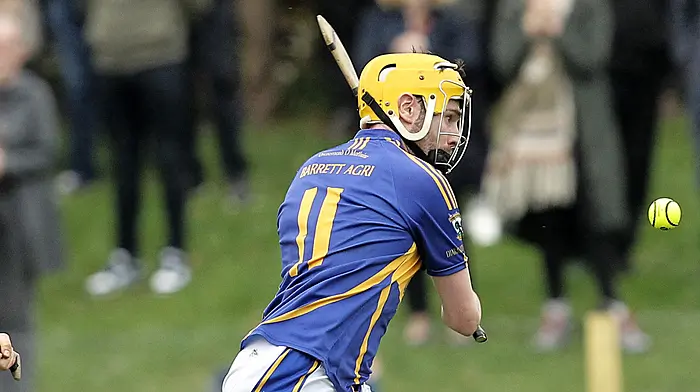Pat Lucey: Diarmuid Ó Mathúnas up for survival fight Image