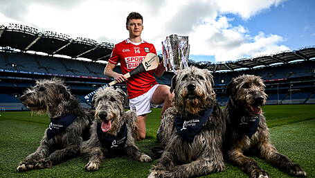 Cork out to banish final demons in Tipp test Image