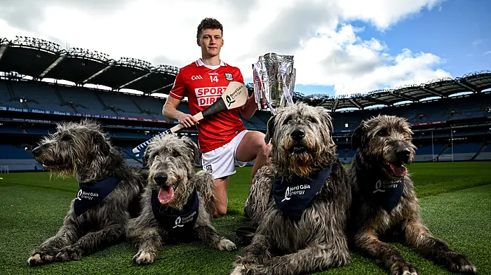 Cork out to banish final demons in Tipp test Image