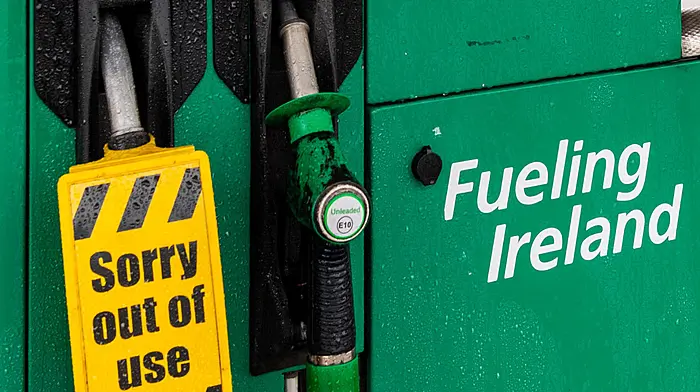 Harnessing our own crude oil ‘logical step’ in midst of energy crisis Image