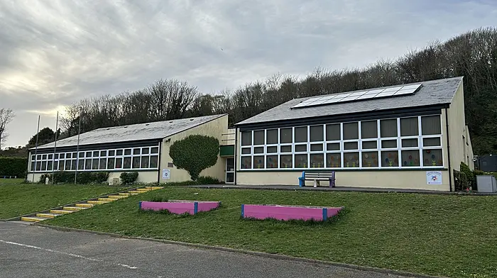 IWA backing for Leap NS Image