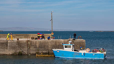 Fuel costs and quotas are leaving trawlers docked Image