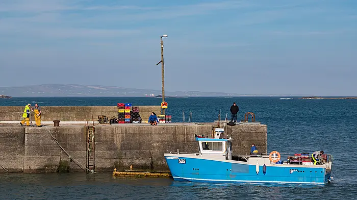 Fuel costs and quotas are leaving trawlers docked Image